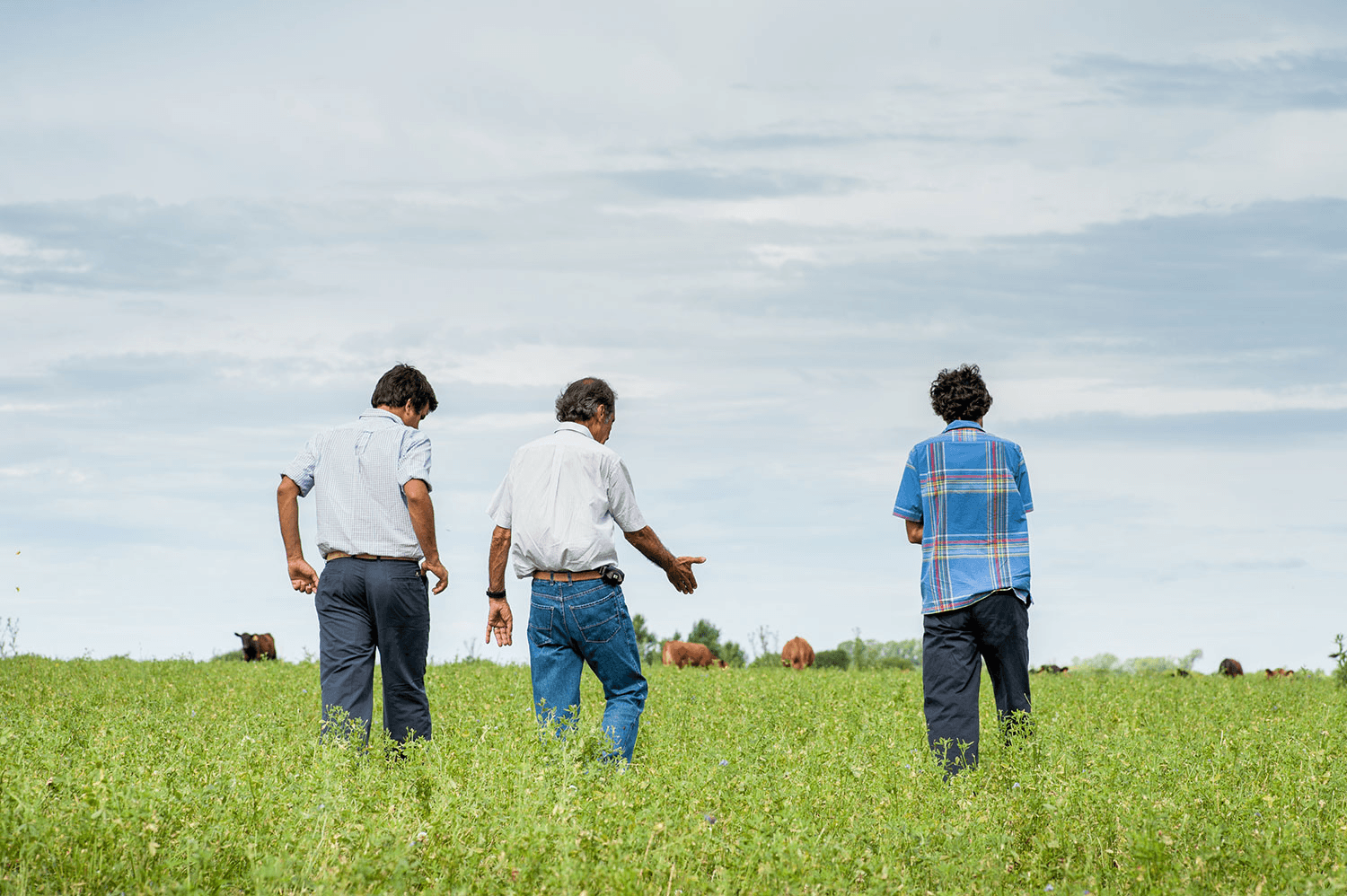 Campo de Casamú en Atucha