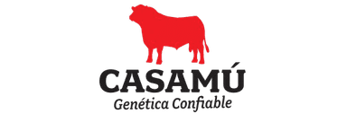 Casamú
