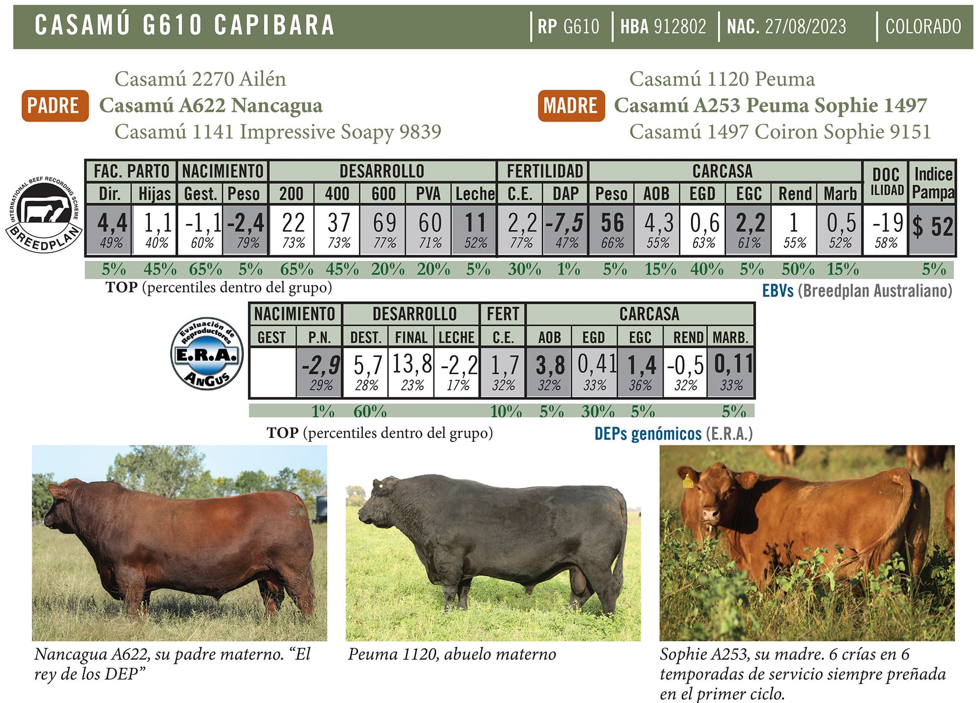 Ficha técnica — Capibara