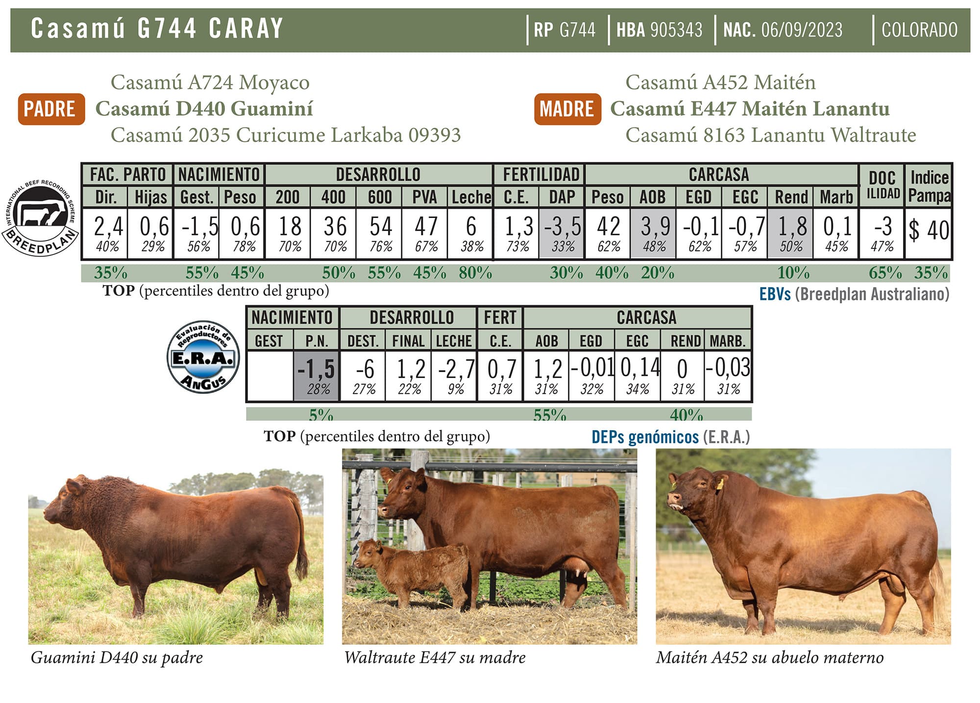 Ficha técnica — Caray