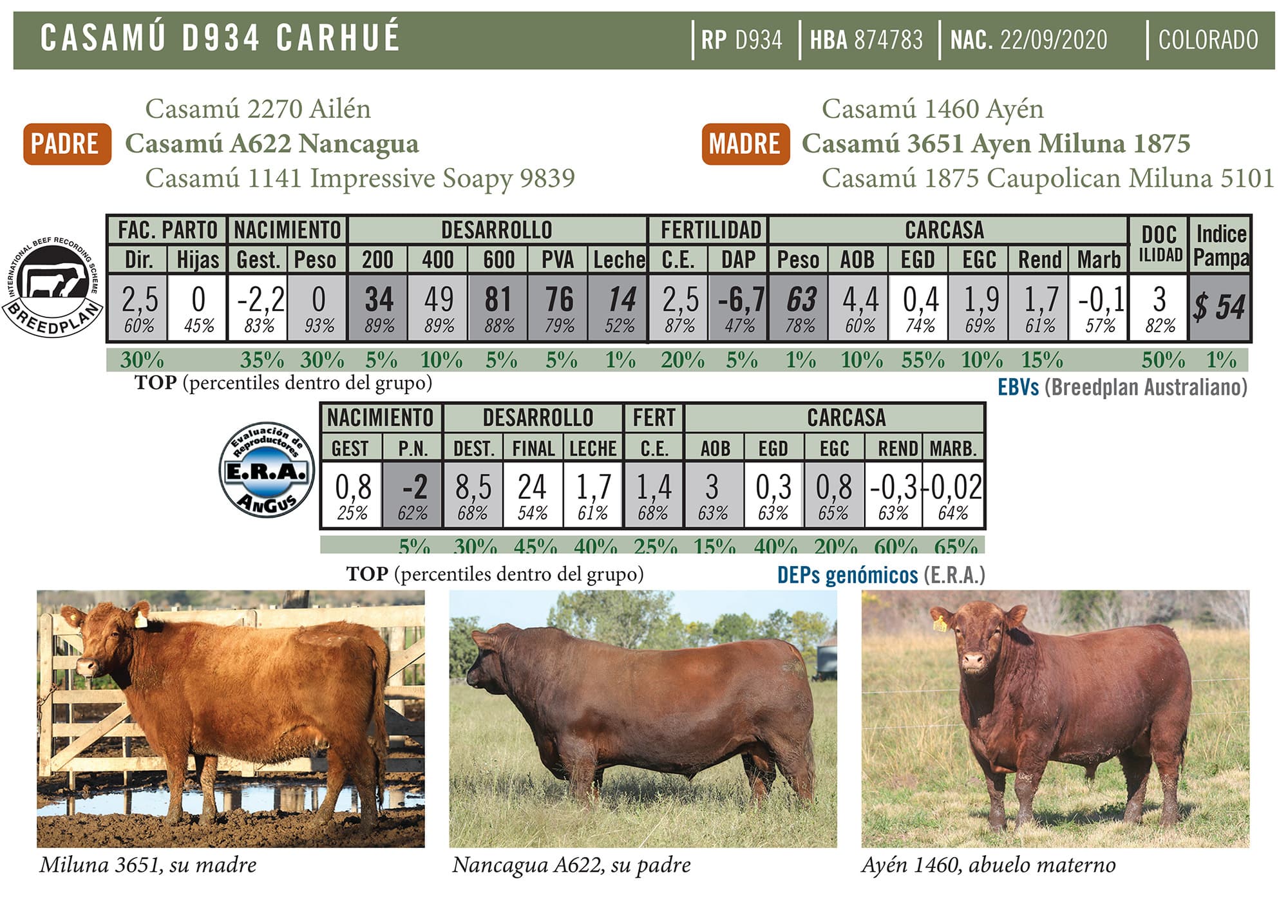 Ficha técnica — Carhué