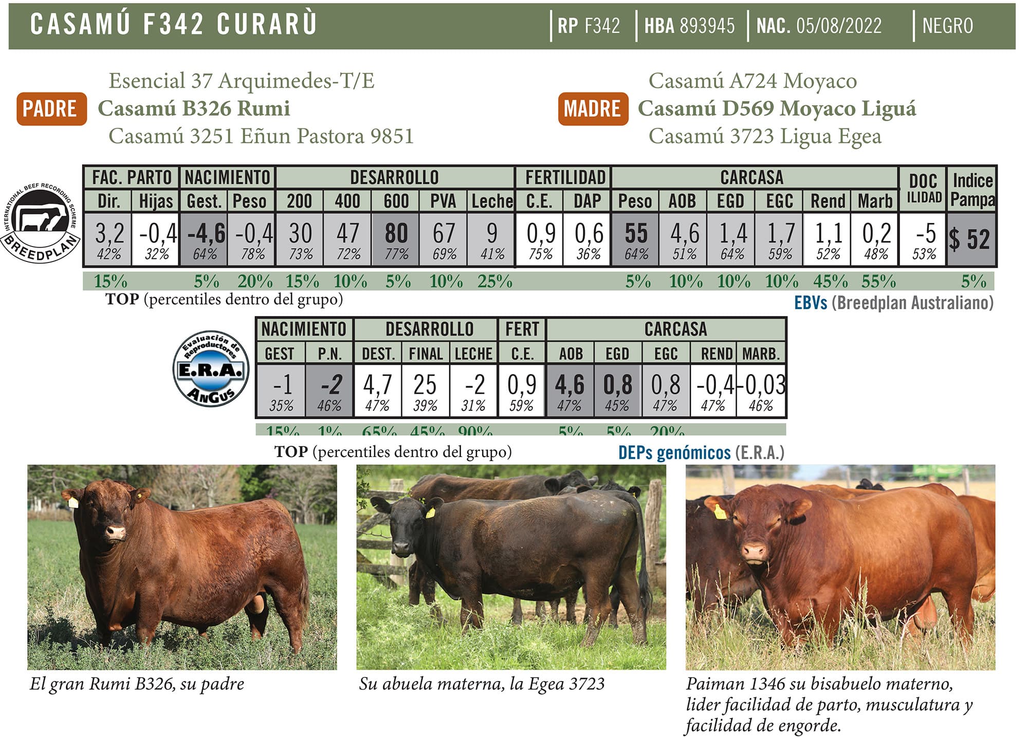 Ficha técnica — Curarú