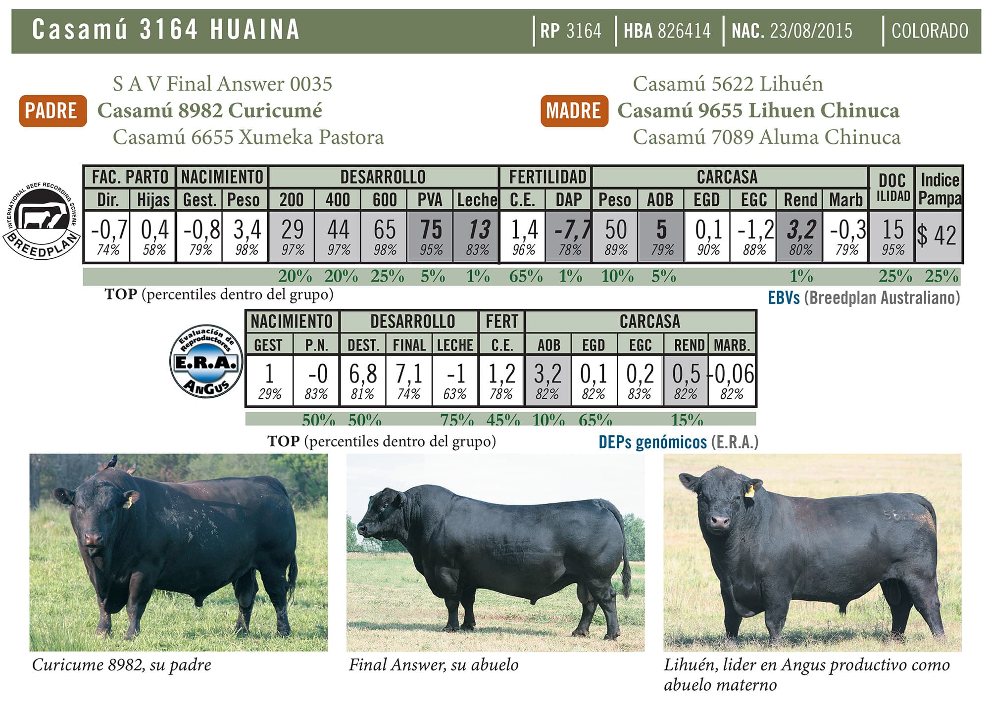 Ficha técnica — Huaina