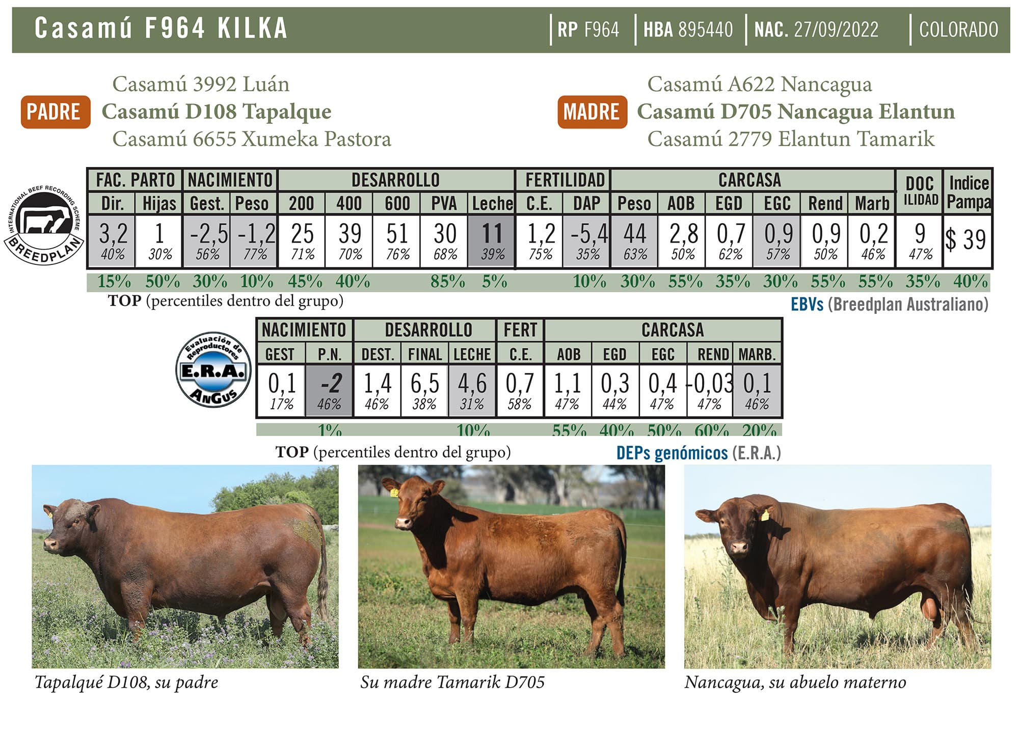 Ficha técnica — Kilka