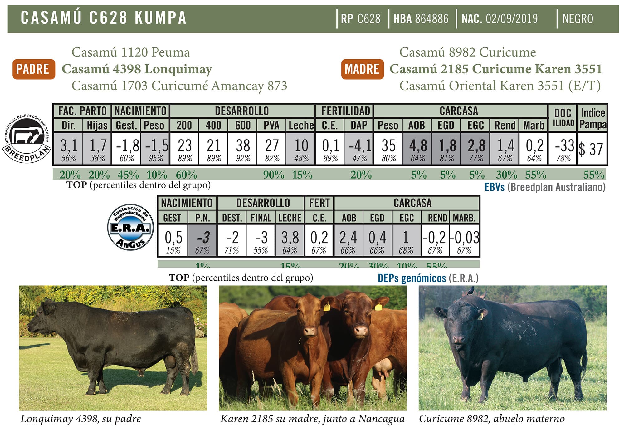 Ficha técnica — Kumpa
