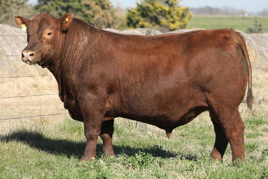 Lautaro 3944