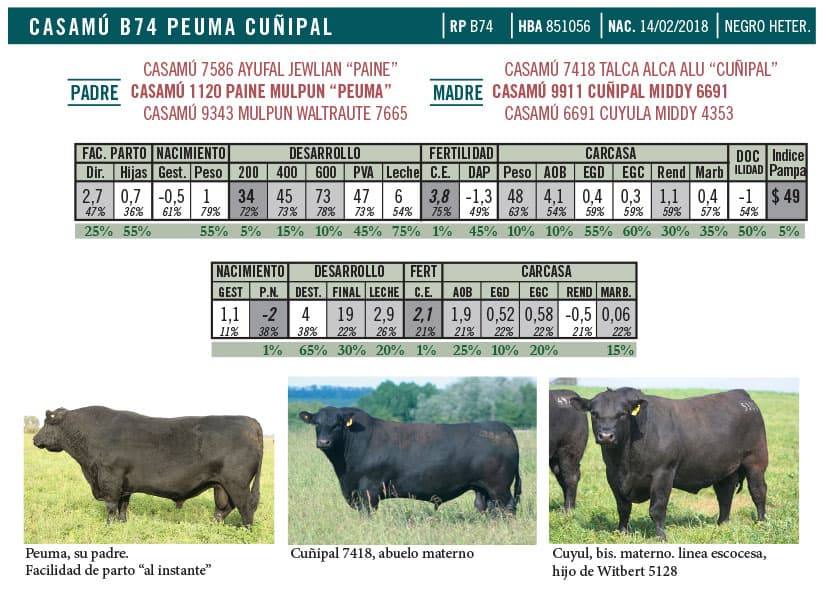 Ficha técnica — Paila