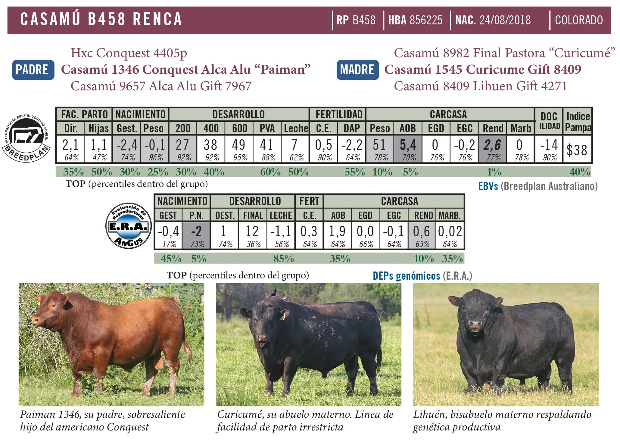 Ficha técnica — Renca