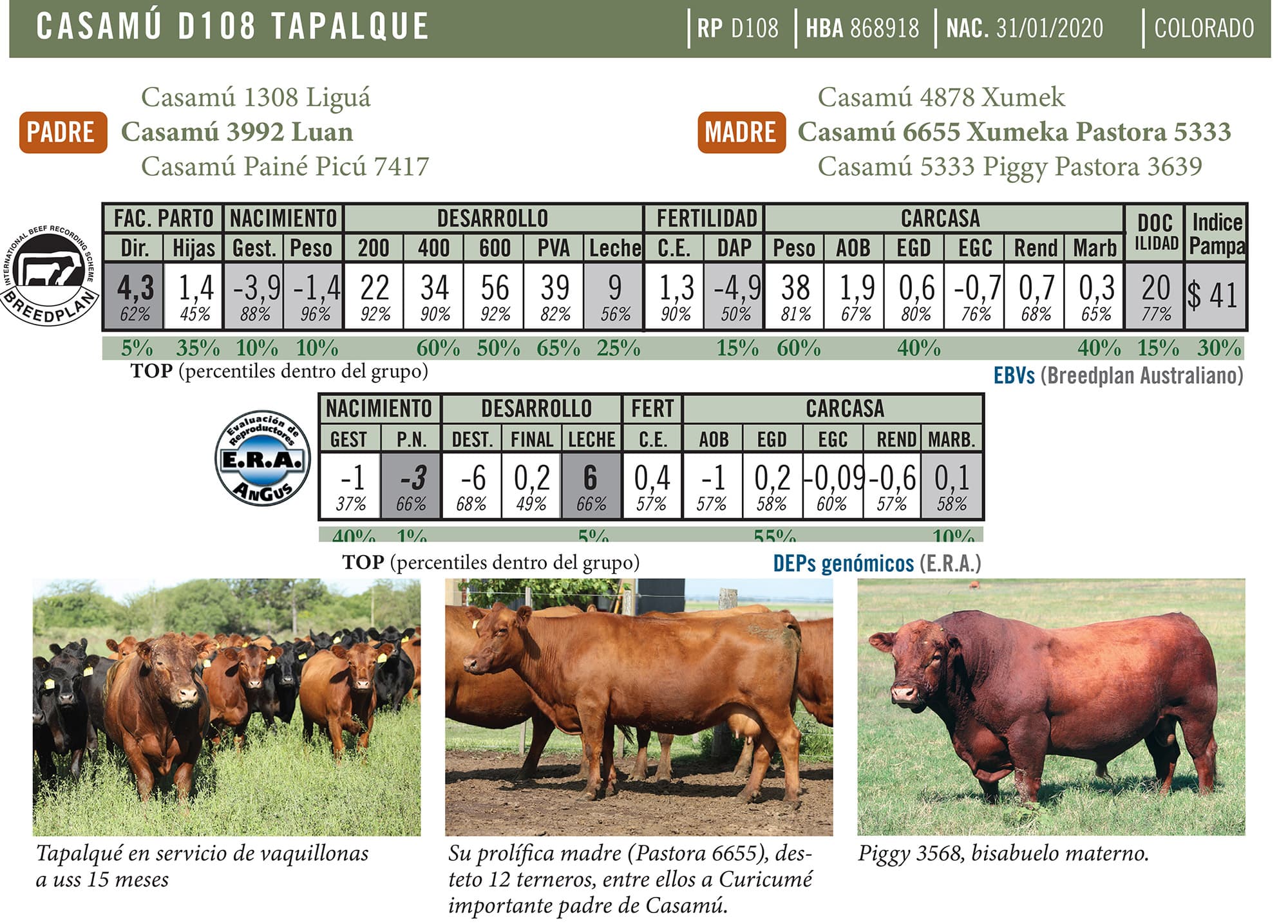 Ficha técnica — Tapalqué