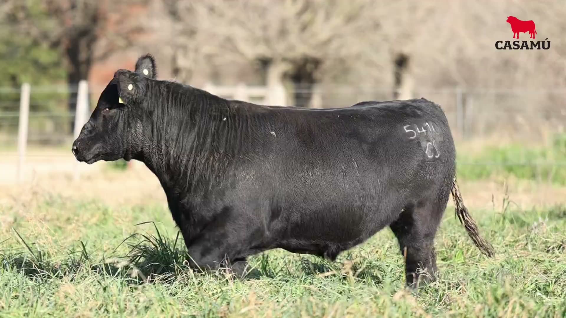 Toro RP 5410 · Lote 5
