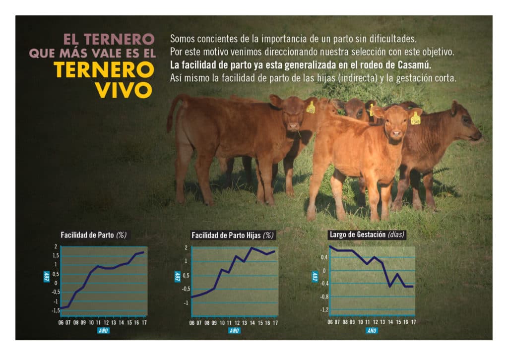 Evolución genética del rodeo Casamú — Gráfico 1
