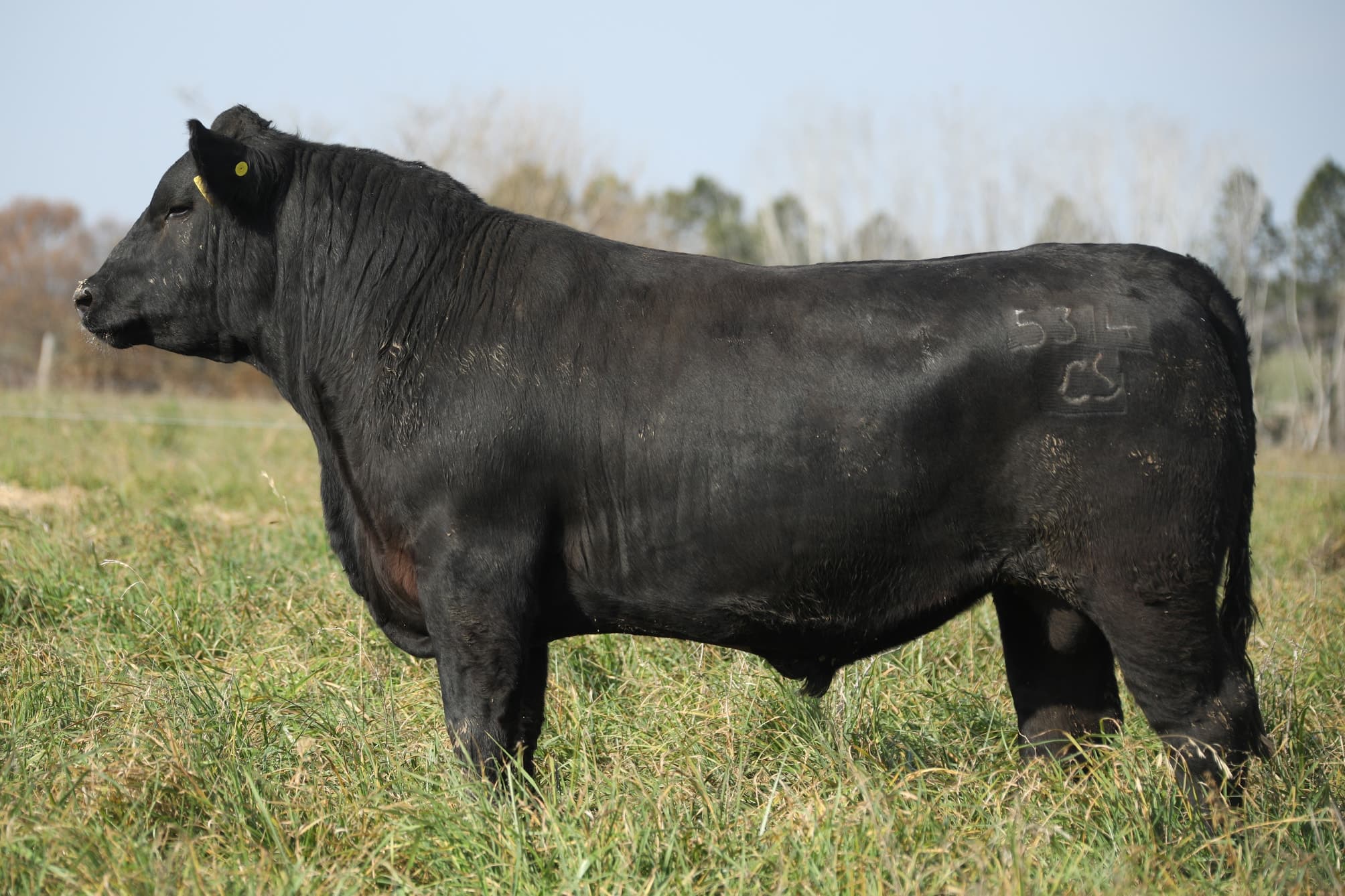 Toro RP 5314